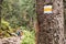 Tourist sign on the tree with a group of tourists on the pathway in the forest. Hiking in summer concept