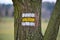 Tourist signposting on the bark of a tree