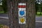 Tourist signs on the bark of trees - orientation during a forest walk