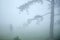 Tourist silhouettes in the fog. Hiking trail in the Pyrenees. La Rhune mountain, France