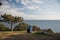 Tourist sitting on the grass near a tree opposite the Black Sea on the southern coast of the Crimea peninsula