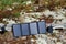 Tourist solar panel and power bank in forest are charging. Camping equipment, alternative power source