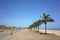 Tourist standing on road and taking photo of palm trees and sandy beach