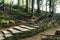 Tourist standing on stone stair and shooting a view of Cedar trees with moss in the forest in Alishan National Forest Recreation.