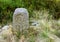 A tourist stone with a typical Czech tourist sign.