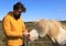 Tourist stroking an icelandic horse.