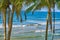 Tourist surfeurs Palm trees Lakshawaththa Beach Matara Sri Lanka Ceylon