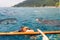 Tourist swim in the sea with whale sharks