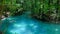 Tourist swimming in the Blue river in the jungle