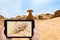 Tourist taking photo of saxaul in Wadi Rum desert