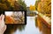 Tourist taking photo of tree near landwehr canal