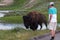 Tourist Taking a Picture of a Bison