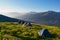 Tourist tent on alpine meadow