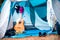 tourist tent camping in forest. Tourist life - clothes are dried, the guitar stands near the ten