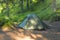 Tourist tent in a clearing in a coniferous forest, illuminated b