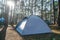 Tourist tent in the deep tall pine forest