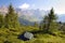 Tourist tent in the green forest on mountains