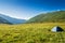 Tourist tent on mountain meadow field dawn sunrise