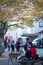 Tourist to see Floating torii gate and give food deer of Itsukushima Shrine give food deer at Miyajima island