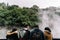 Tourist travel in The famous Beitou Thermal Valley in Beitou Park, boiling steam from hot spring floating through the trees.