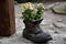 Tourist traveler hiker shoe boot with flowers.