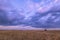 Tourist vehicle watching game in Masai Mara during sunset, Kenya