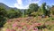 Tourist visit bougainvillea garden on huangling mountain, adobe rgb