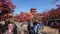 The tourist Visit red fall leaves autumn at Kiyomizu-dera temple in Kyoto, Japan