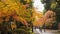 The tourist Visit in walkway at daigoji Temple , Kyoto,Japan