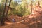 Tourist visiting the Ochre Trail in Roussillon, Sentier des Ocres, hiking path in a natural colorful area of red and yellow cliffs