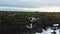 Tourist walk by moss fields in Iceland. Authentic volcanic areas in south Iceland. Mossy green Icelandic fields