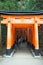 Tourist walk and see Red torii at Fushimi Inari-taisha shrine