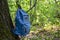 Tourist walk through the summer forest. A blue backpack hangs on a large tree covered with green moss