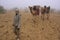 Tourist walking with camels during early morning fog in Thar des