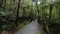 Tourist walking in natural trail of lake matheson most popular traveling destination in south island new zealand