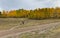 Tourist walking on the path of the Aspen Snowmass ski resort on fall