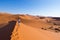 Tourist walking on the scenic dunes of Sossusvlei, Namib desert, Namib Naukluft National Park, Namibia. Afternoon light. Adventure