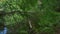 A tourist walks along a trail along an overgrown pond with fallen trees