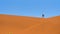 Tourist walks on the scenic dunes of Sossusvlei in the Namib desert, Namibia