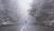 Tourist wandering trough frozen forest, walking free and happy