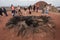 Tourist watching fire demonstration in Timanfaya volcanic national park in Lanzarote, Canary islands, Spain.