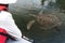 Tourist watching a Galapagos Green Turtle from the boat at Black Turtle Cove, Santa Cruz, Galapagos Islands, Ecuador, South