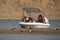 Tourist watching Indian Skimmers at Chambal,Rajasthan,India