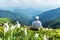 A tourist in white clothes sits in a mountain meadow