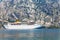 Tourist white cruise sea liner