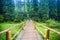 Tourist woman go by handmade wooden bridge in the middle of the forest across the river in rain in rain suitcase