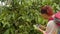 Tourist Woman Taking Photos With A Smartphone Of Coffee Flowers