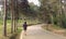 Tourist woman walk alone on the road in natural park