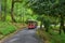 Touristic bus with tourists on excursion tour in botanical garden Georgia Batumi