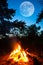 Touristic camp fire in a forest at the twilight